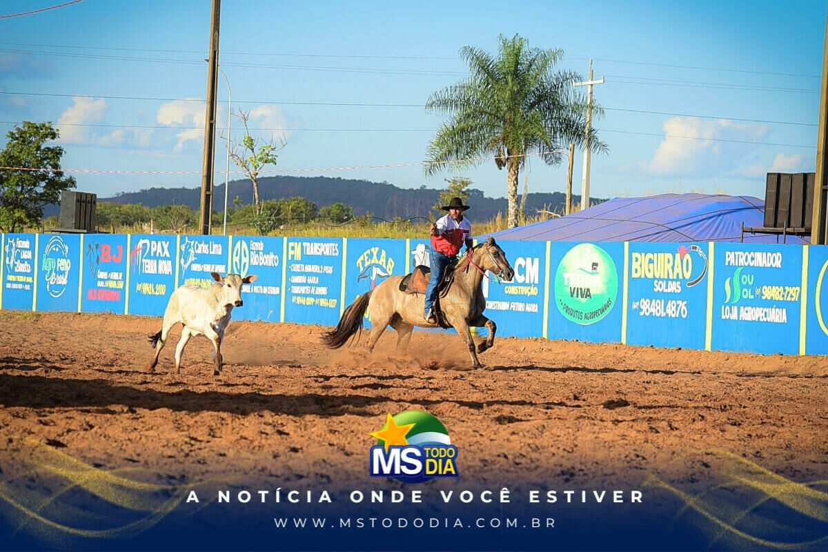 Imagem da Galeria